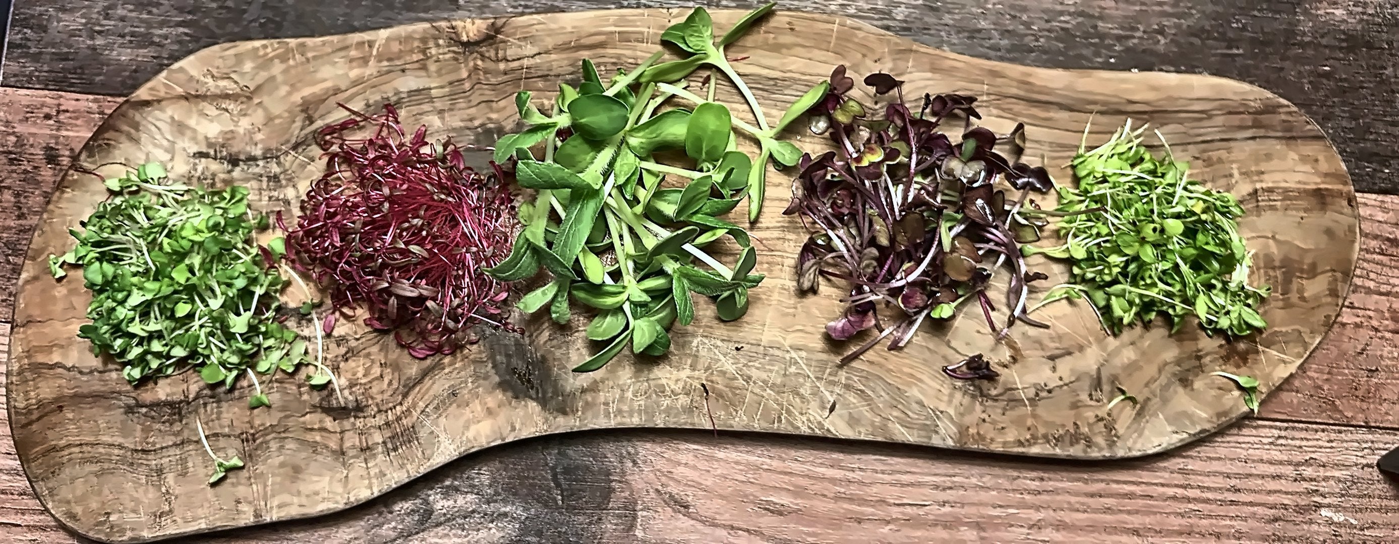 Een houten plank met vijf hoopjes microgroenten: basilicum, rode amarant, zonnebloem, radijs en zuring